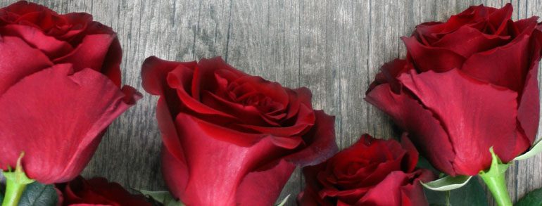 Circle of Roses