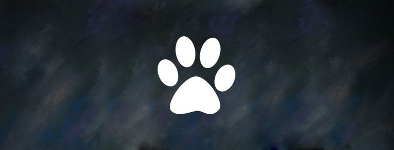 Find the Black Paw Print!