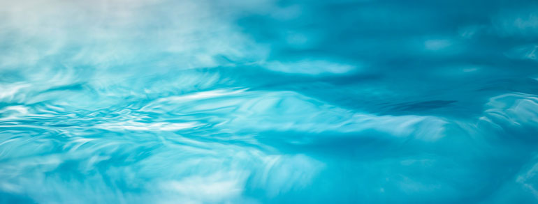 Dawn Wells Grave A Beacon Of Hope And Remembrance For Her Adoring Fans