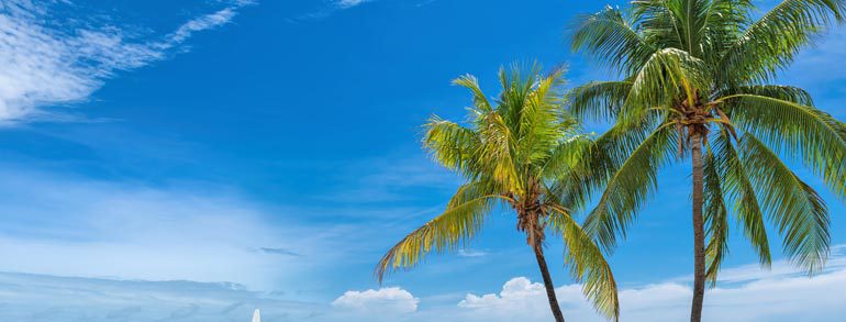 25th Annual Grand Master’s Florida Reception