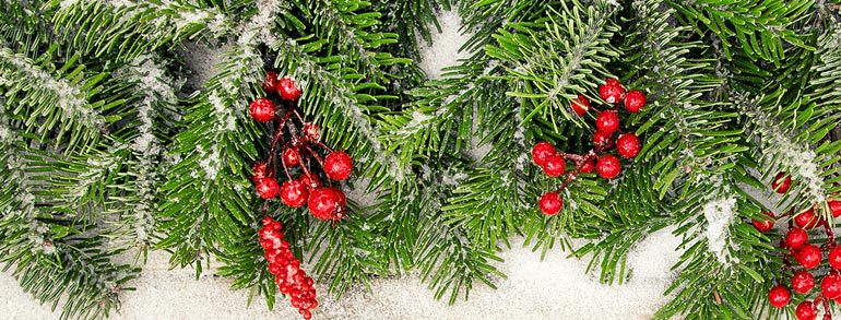 Hope for the Holidays
